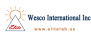 Wesco International Inc